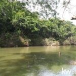 listing image thumbnail with ID 111334