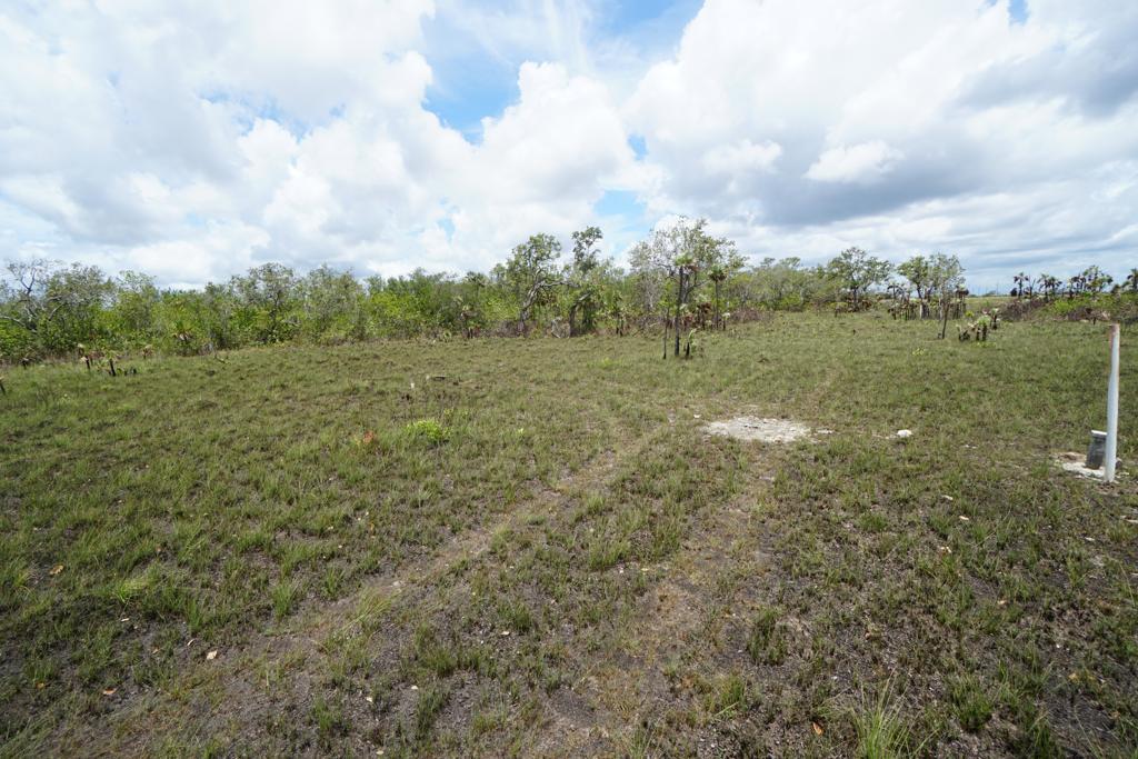 listing image with ID 111896