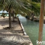 listing image thumbnail with ID 111276