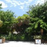 listing image thumbnail with ID 110674