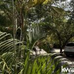 listing image thumbnail with ID 111766