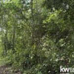 listing image thumbnail with ID 111349