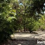 listing image thumbnail with ID 111768
