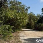 listing image thumbnail with ID 111769