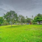 listing image thumbnail with ID 111931