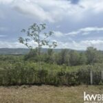 listing image thumbnail with ID 111568