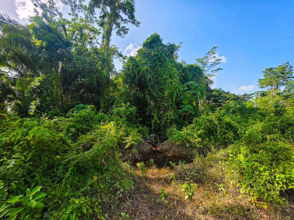 listing image with ID 111359