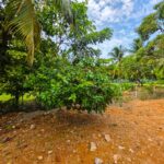 listing image thumbnail with ID 111406