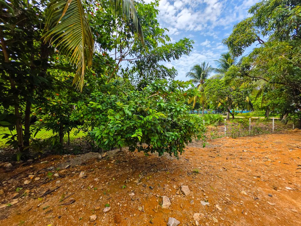 listing image with ID 111406