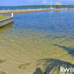 listing image thumbnail with ID 111280