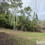 listing image thumbnail with ID 111346