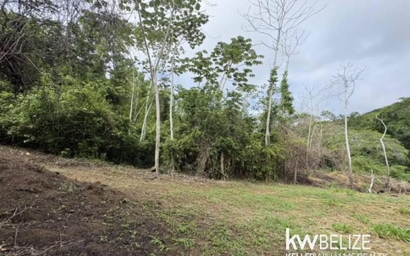 listing image with ID 111346