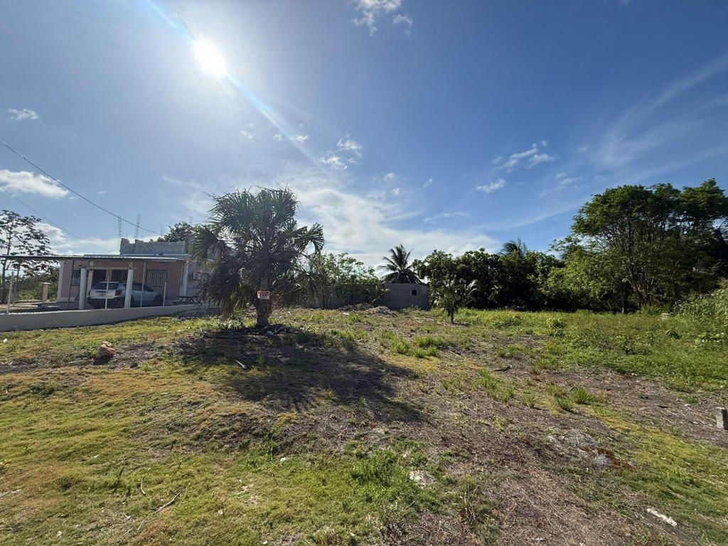 listing image with ID 111661