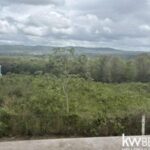 listing image thumbnail with ID 111567