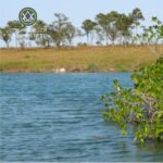 listing image thumbnail with ID 111183