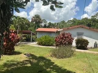 listing image with ID 110720
