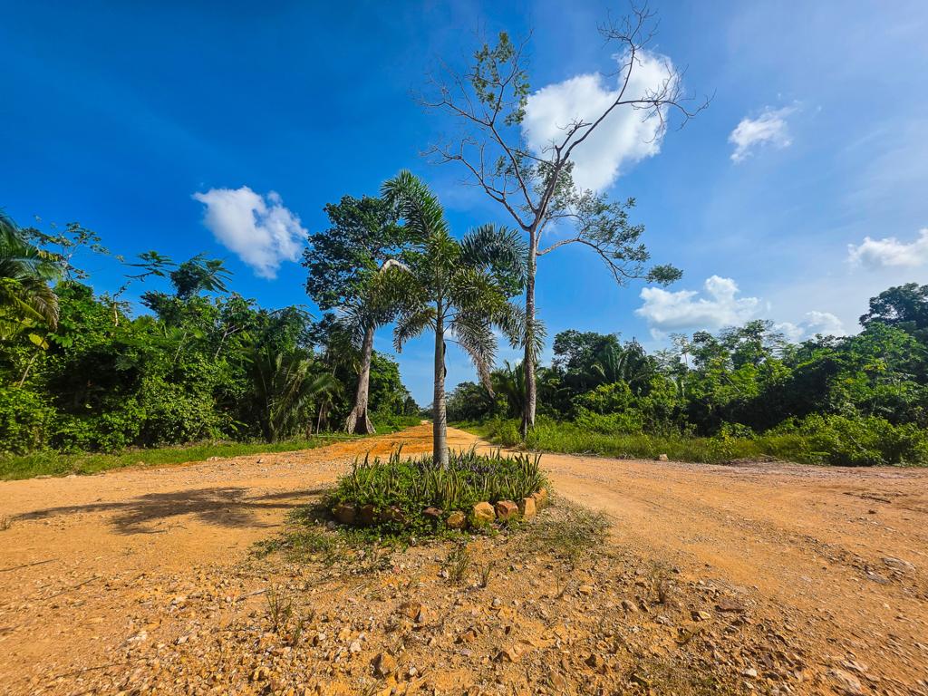 listing image with ID 111366