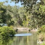 listing image thumbnail with ID 111771