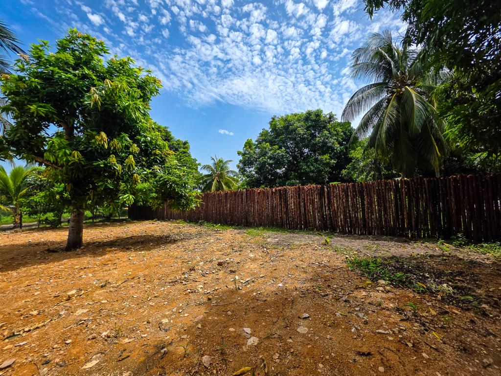 listing image with ID 111413