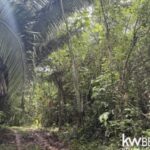 listing image thumbnail with ID 111340