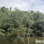 listing image thumbnail with ID 111347