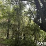 listing image thumbnail with ID 111352