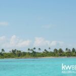 listing image thumbnail with ID 112290