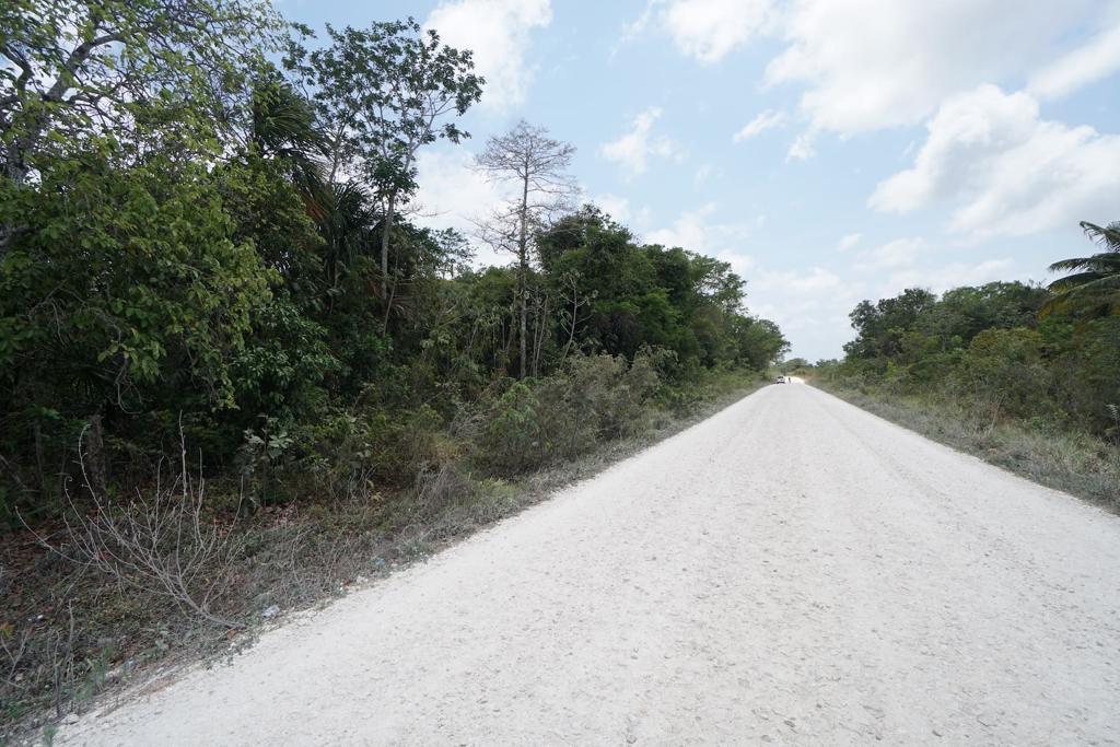 listing image with ID 111061