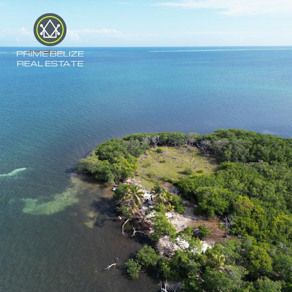 listing image with ID 110801