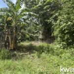 listing image thumbnail with ID 111339