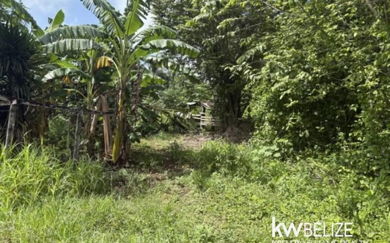 listing image with ID 111339