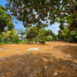 listing image thumbnail with ID 111402