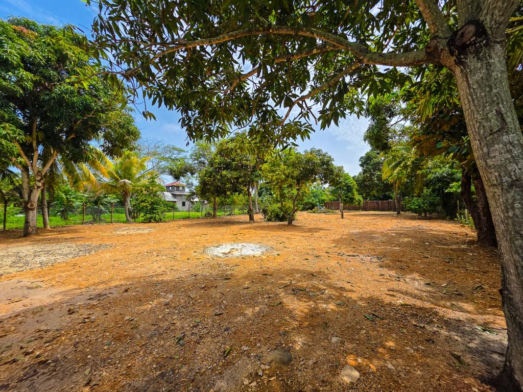 listing image with ID 111402