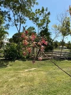 listing image with ID 110852
