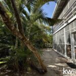 listing image thumbnail with ID 111747