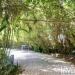 listing image thumbnail with ID 110665