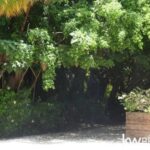 listing image thumbnail with ID 110675