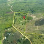 listing image thumbnail with ID 112211