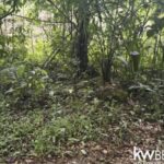 listing image thumbnail with ID 111350
