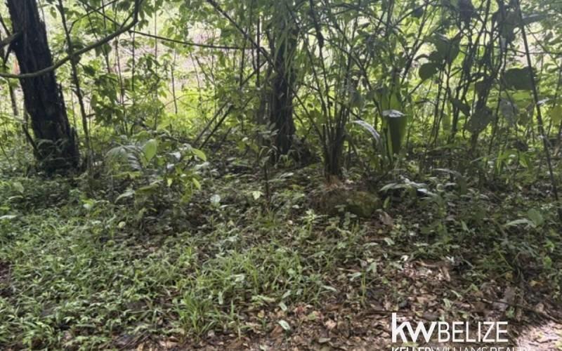 listing image with ID 111350