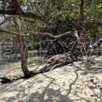 listing image thumbnail with ID 110564