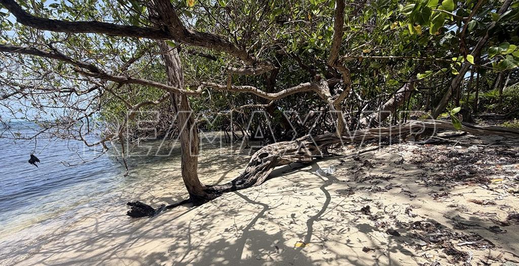 listing image with ID 110564