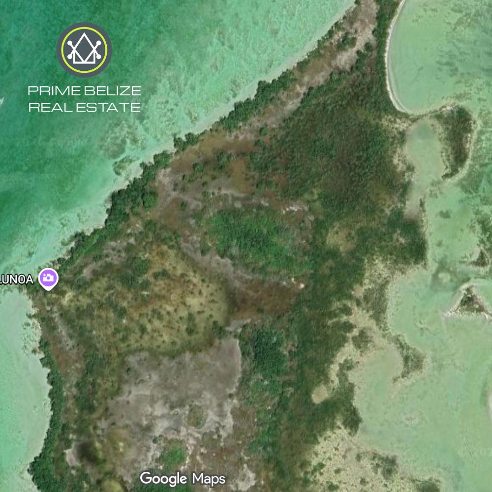 listing image with ID 110607