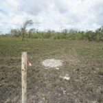 listing image thumbnail with ID 111903