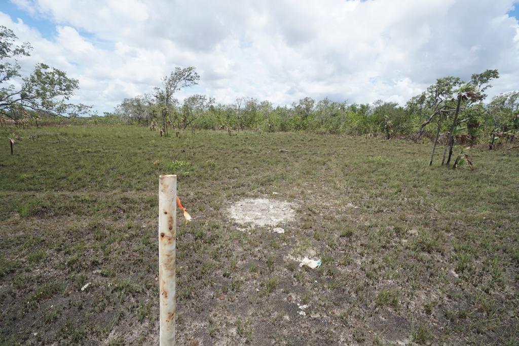 listing image with ID 111903
