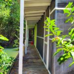 listing image thumbnail with ID 111823