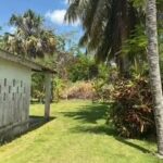 listing image thumbnail with ID 110719