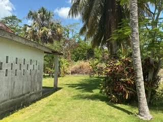 listing image with ID 110719