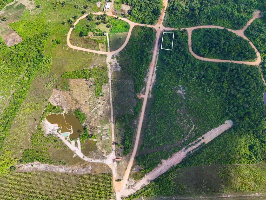 listing image with ID 111358