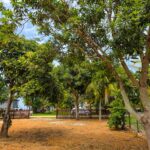 listing image thumbnail with ID 111408